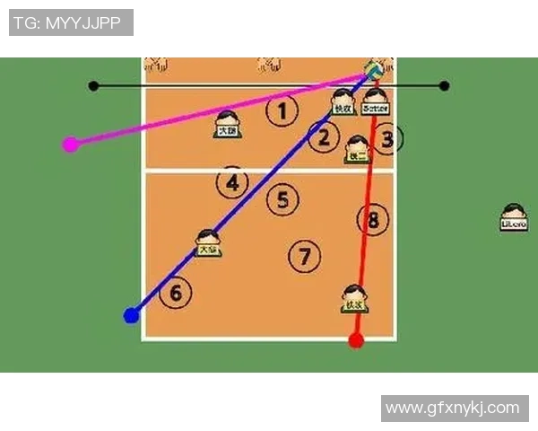 重庆排球队反击战术揭秘深度分析排球竞技的魅力与挑战