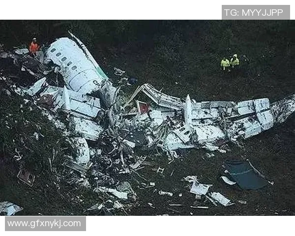 飞机失事足球明星的悲剧故事与永恒的传奇回忆