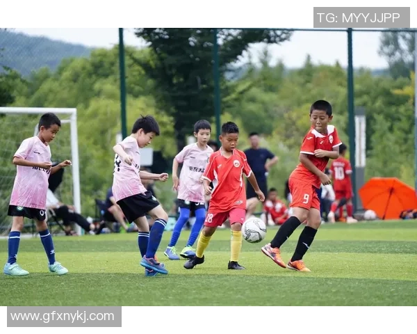 如何培养足球明星的潜力与技巧助力他们走向辉煌职业生涯