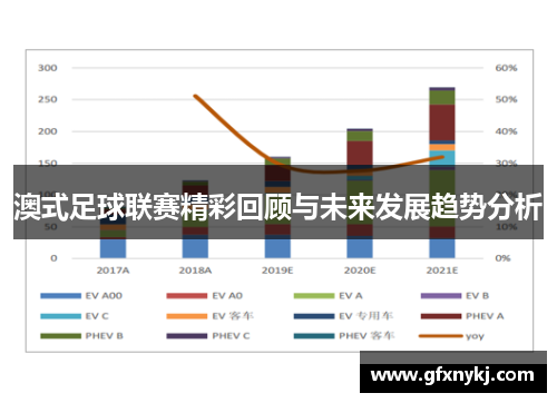 澳式足球联赛精彩回顾与未来发展趋势分析