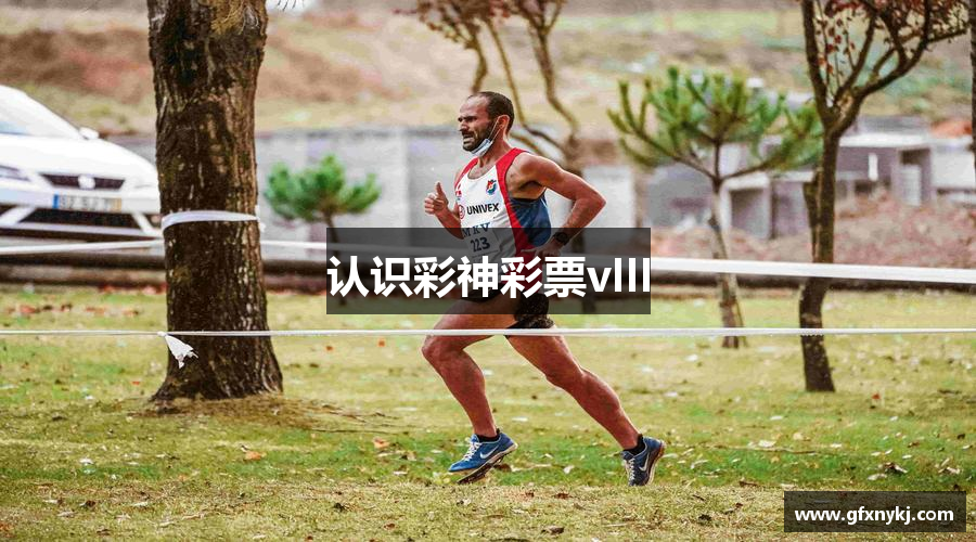 认识彩神彩票vIII